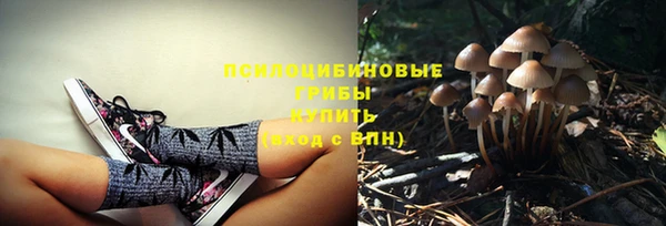 прущая мука Богородск