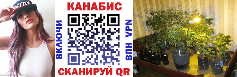 наркотики  Наволоки  нарко площадка состав  Конопля VHQ 